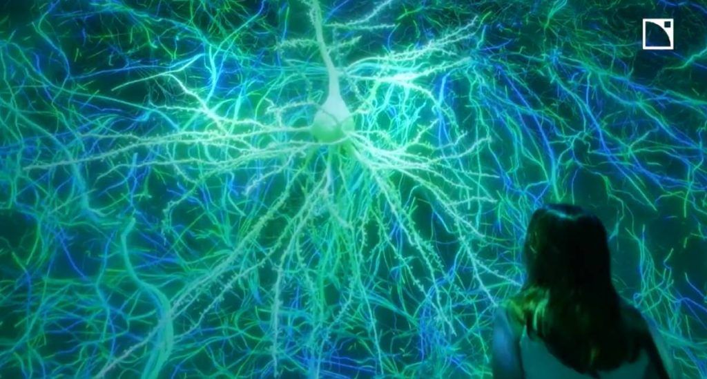 An Immersive Exploration of Neuroscience at Life of a Neuron