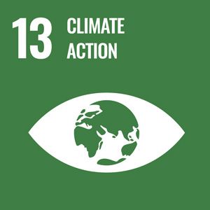 Sustainable Goal
