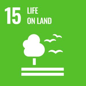 Sustainable Goal