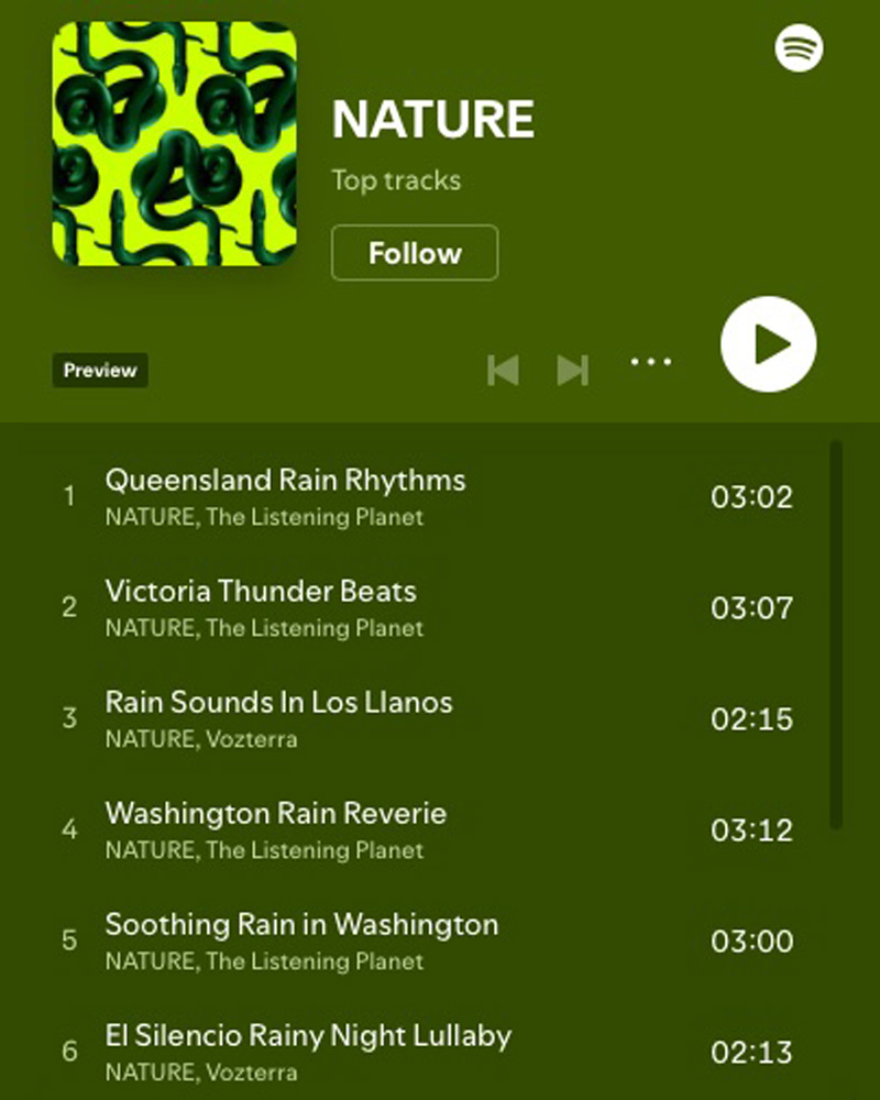Nature as Artist.