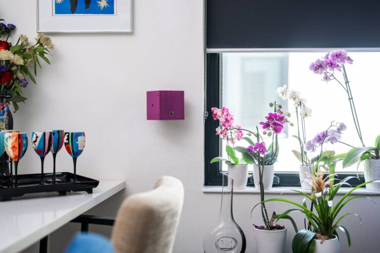 Purple Patch: Music Lovers Make a Statement with L-Acoustics featured image